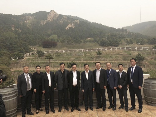 1556614866538979.jpg 33.jpg